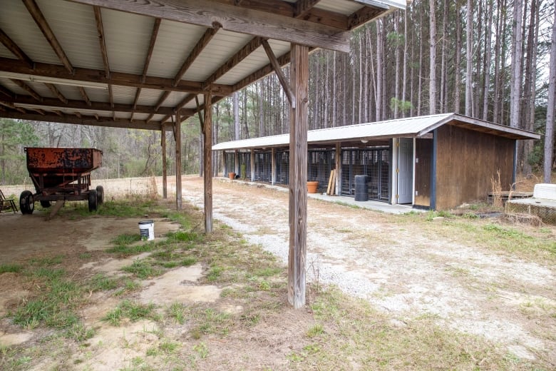 Two outdoor structures are seen on a patch of dried land amid a forest of trees.