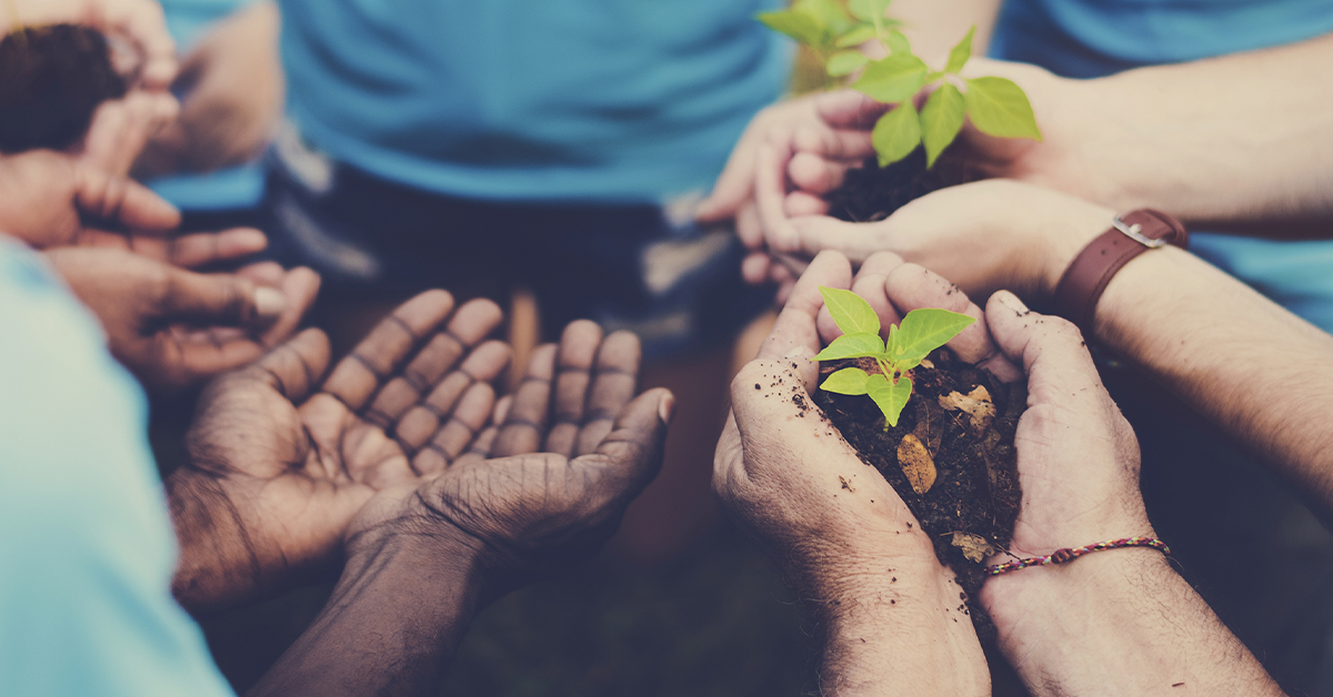 Affect Investing: Strategies to Generate Constructive Adjust