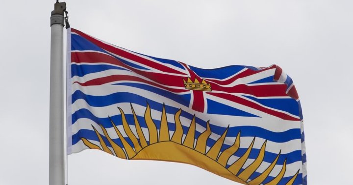 New method delivers absolutely free lawful information for sexual assault survivors in B.C.