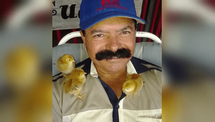 “El Gallito” – Son of legal professional nevertheless looking for justice