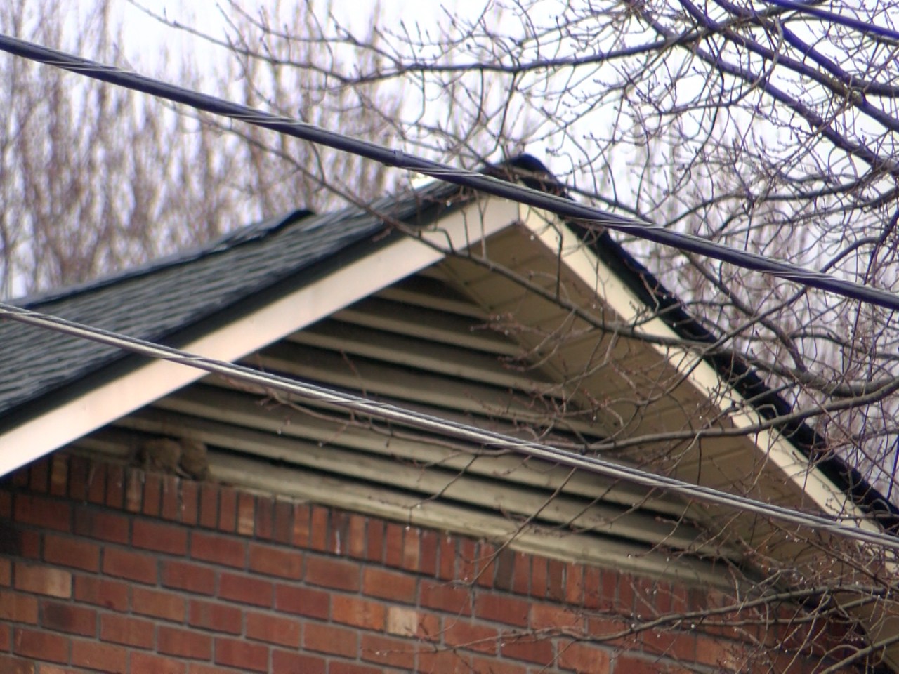 Holding landlords accountable, legal tips for renters | WJHL